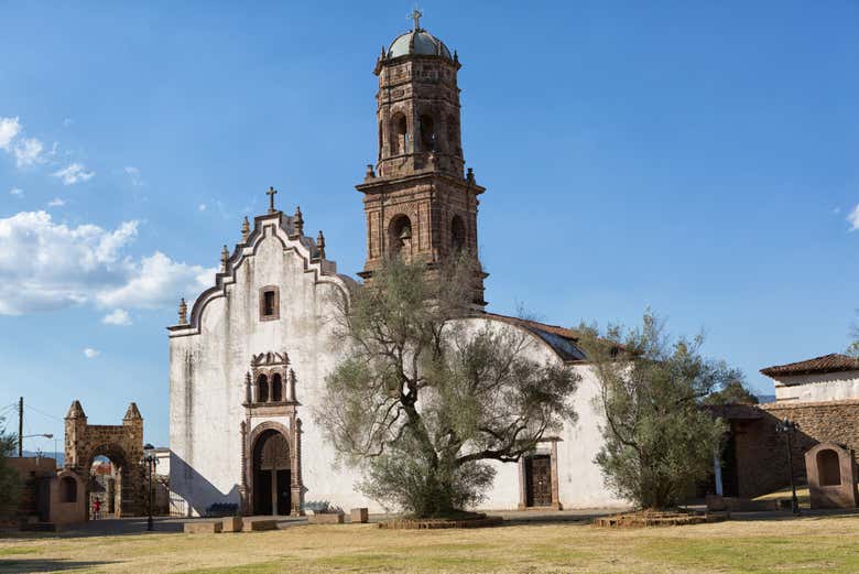 Imagen 6