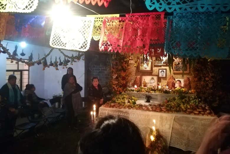 Imagen 7