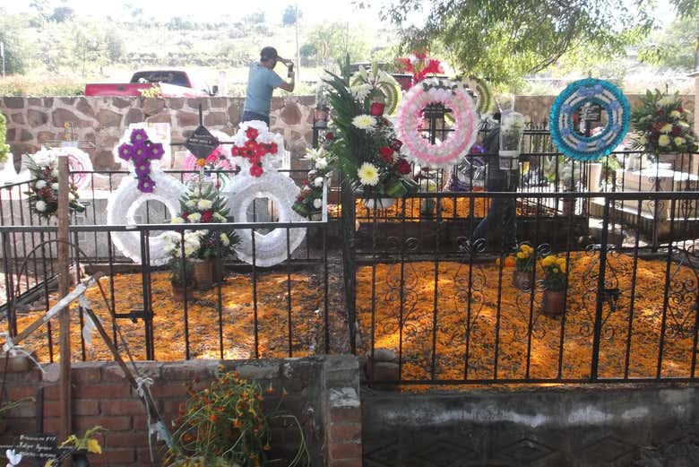 Imagen 6