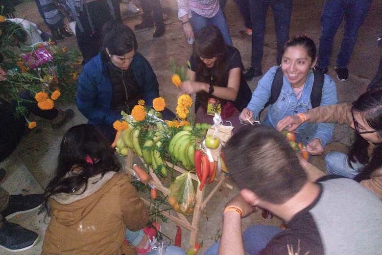 Imagen 8
