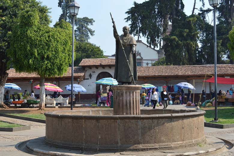 Imagen 5