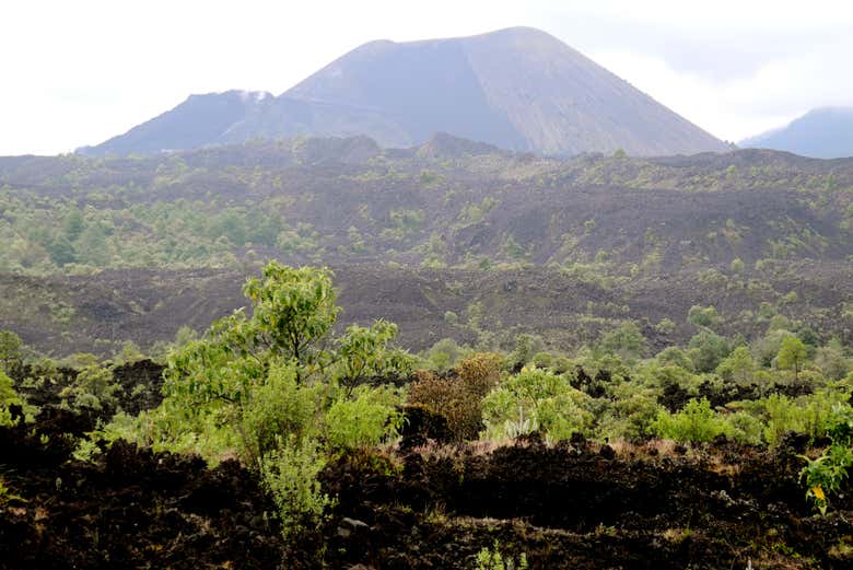Angahuan & ParicutĂn Volcano Tour