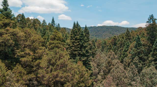 Nanacamilpa
