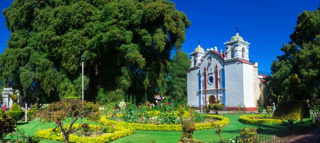 Escursione a Tule e Teotitlán del Valle + Fabbrica di mezcal