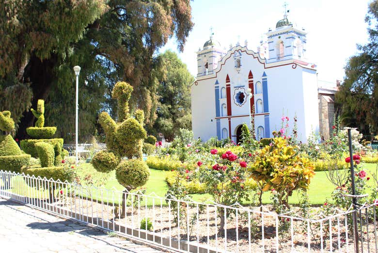 Imagen 12