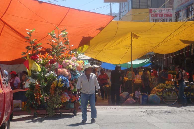 Imagen 6