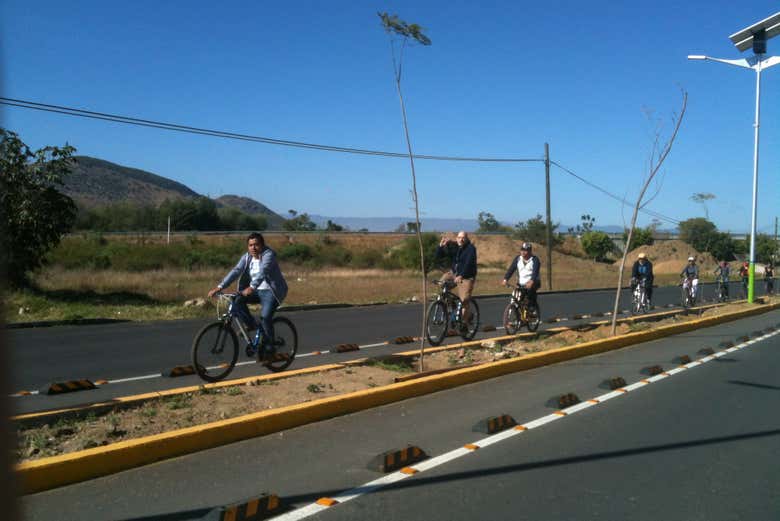 Imagen 7