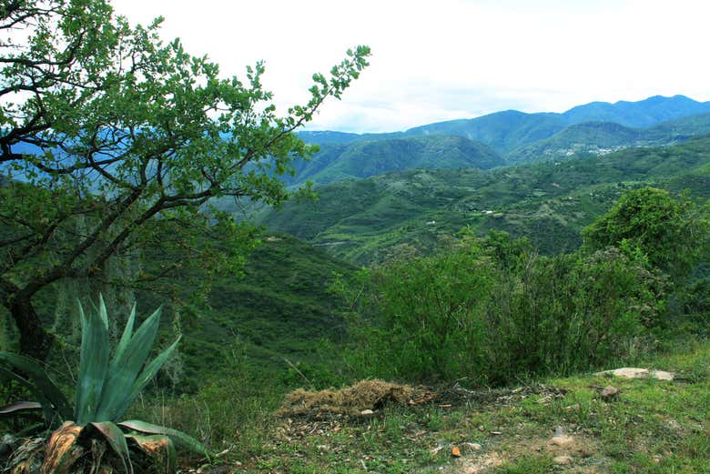 Trekking alla Sierra Norte di Oaxaca