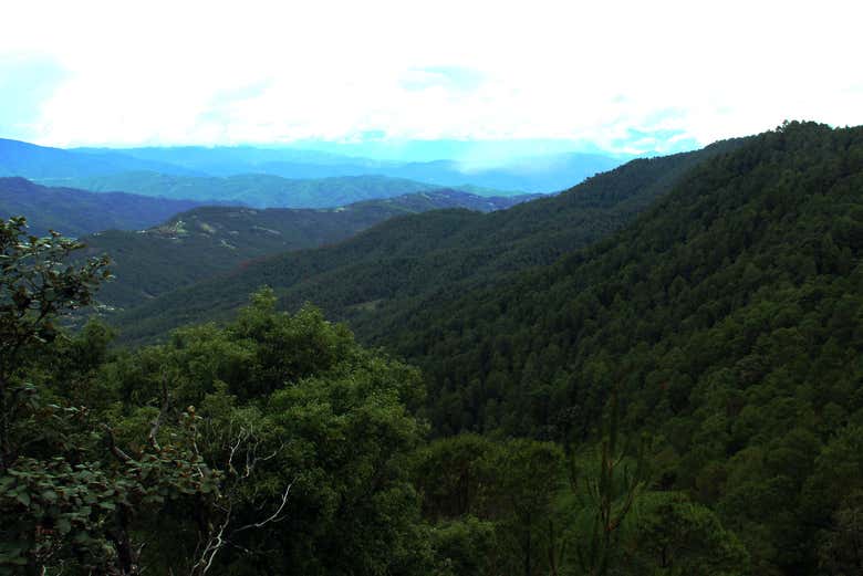Imagen 6