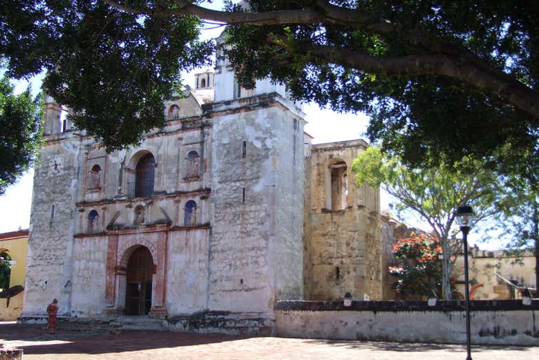 Imagen 5