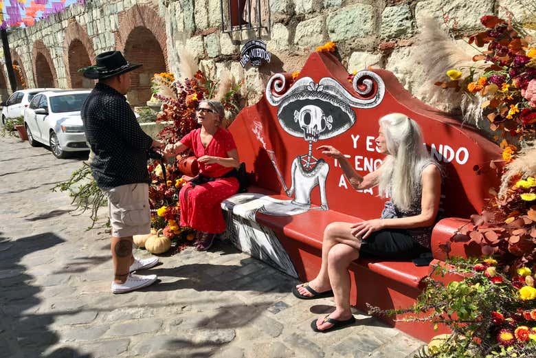 Imagen 5