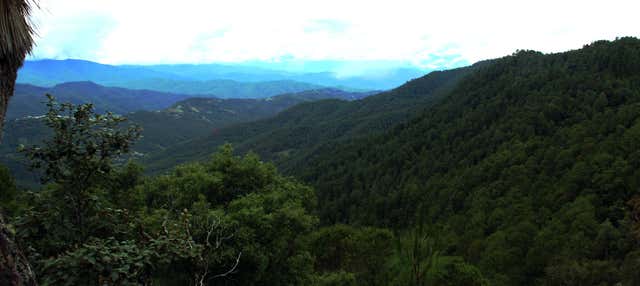 Hiking in the Sierra Norte in Oaxaca