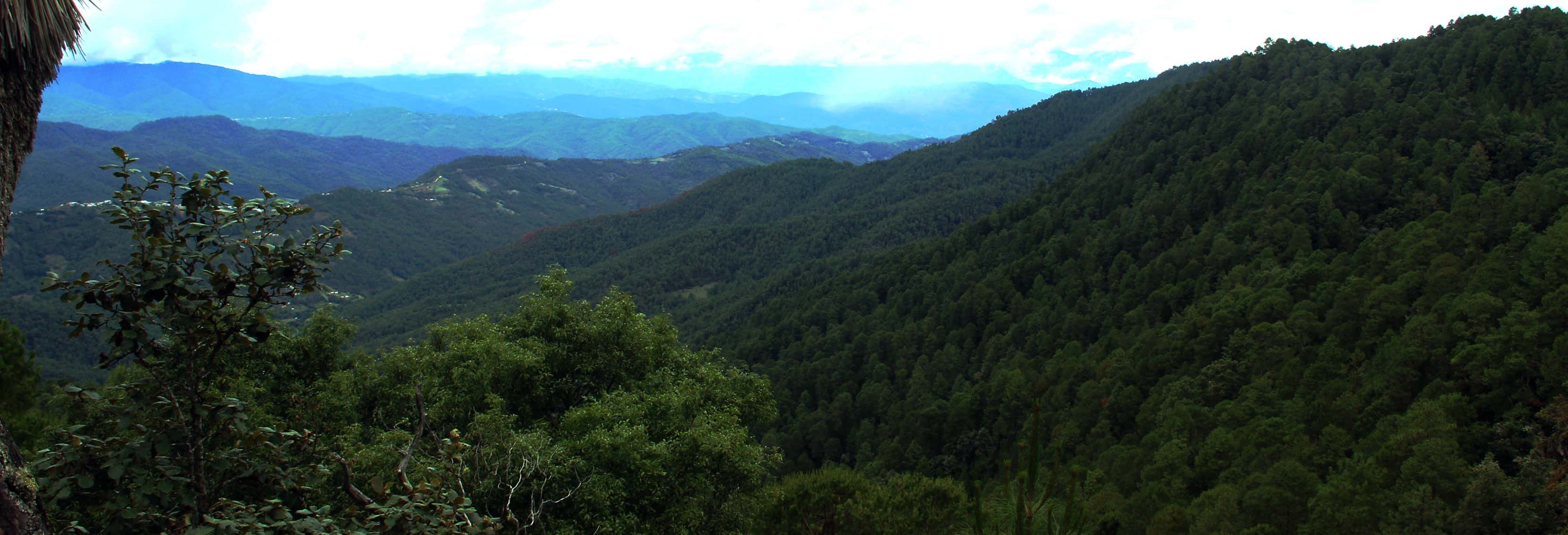 Hiking in the Sierra Norte in Oaxaca