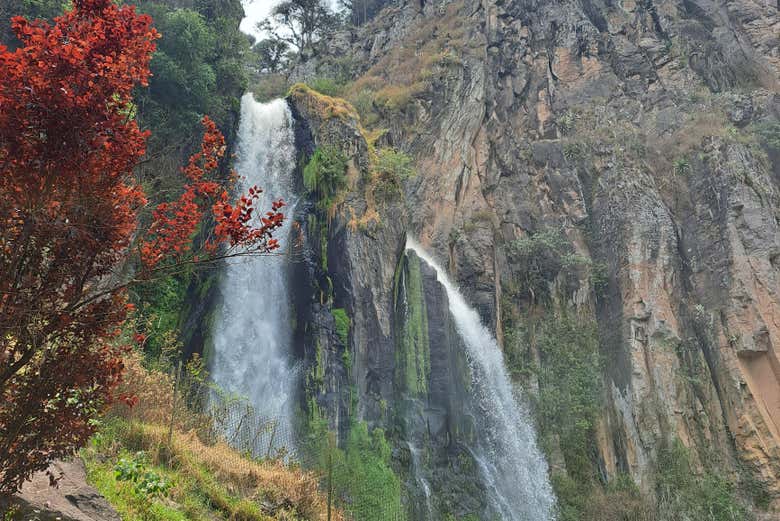 Imagen 7
