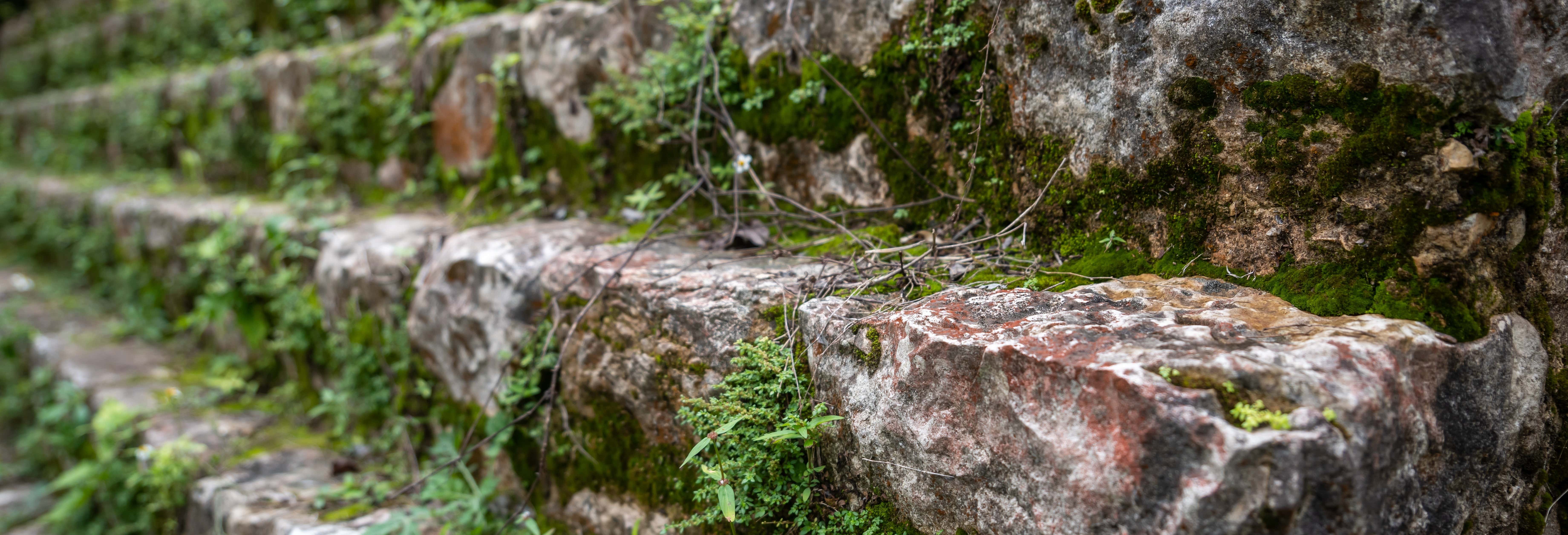 Escursione di 2 giorni alle Cascate Las Golondrinas e Bonampak + Rafting
