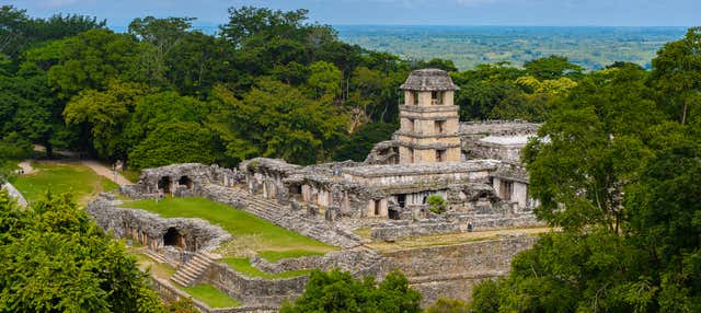 Biglietti per il sito archeologico di Palenque