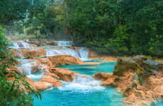 Agua Azul + Misol-Há Day Trip