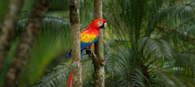 Escursione all'Aluxes Ecopark