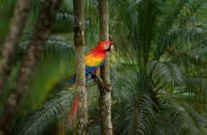 Aluxes Ecopark Trip