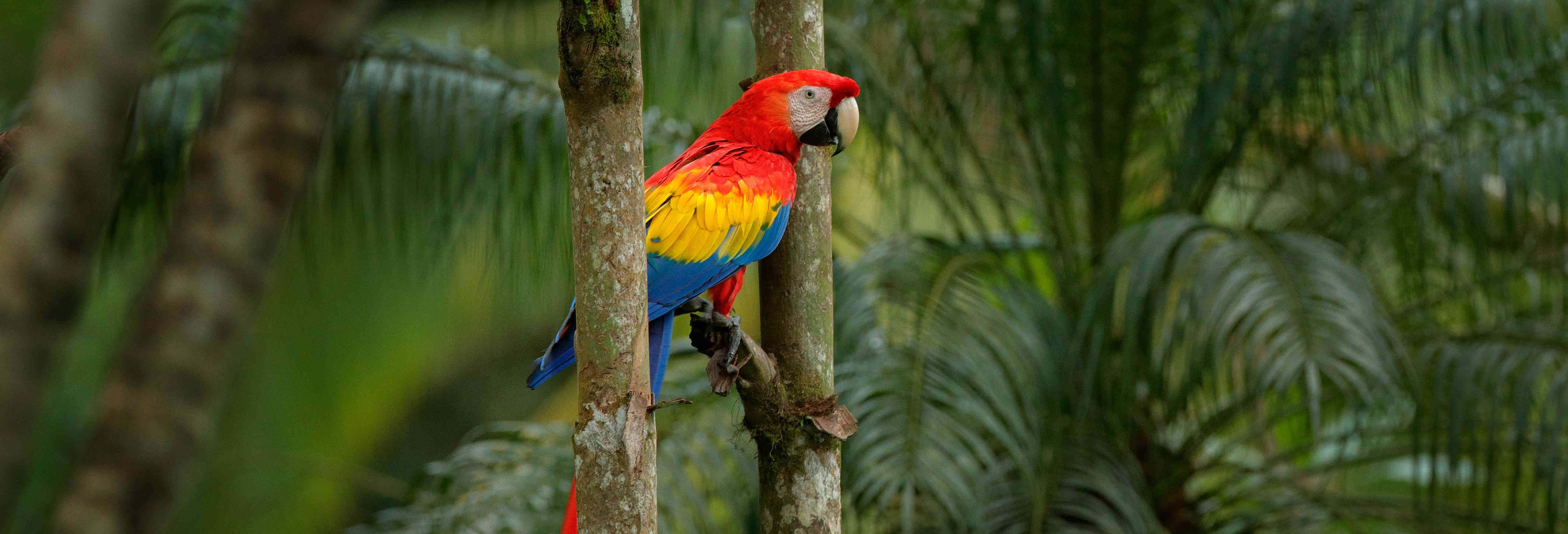 Escursione all'Aluxes Ecopark