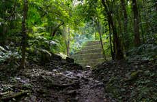 Excursión a la Selva Lacandona y Bonampak