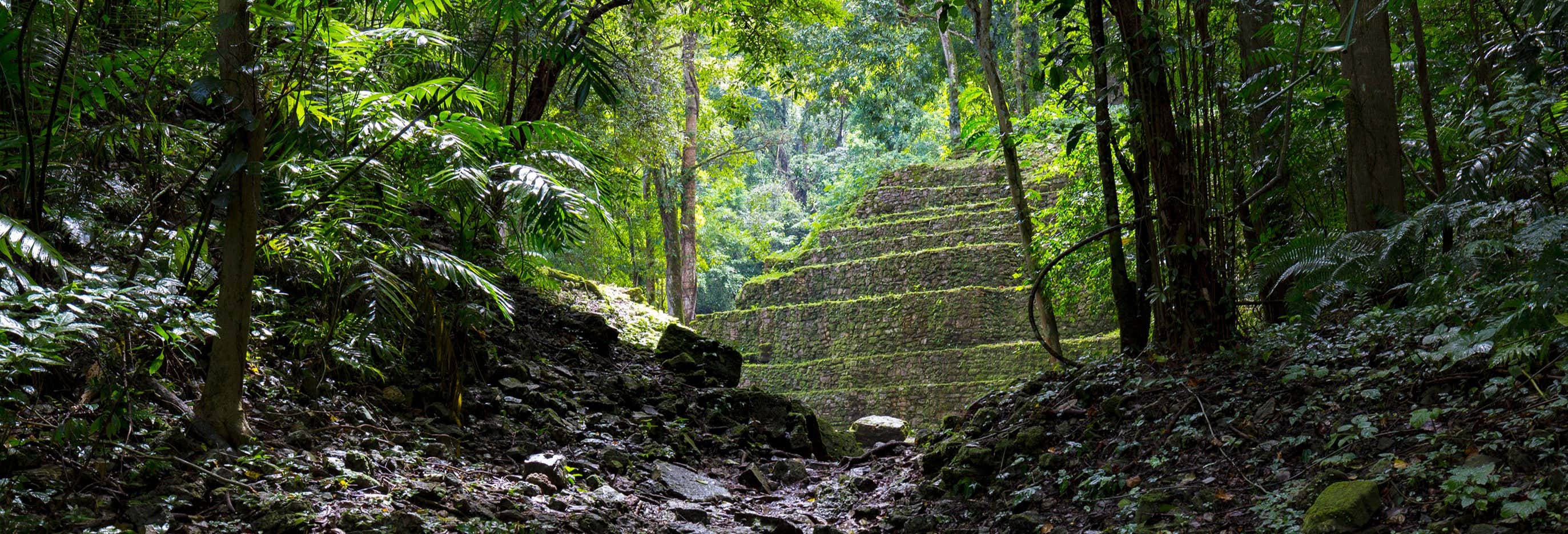 Escursione alla Selva Lacandona e Bonampak