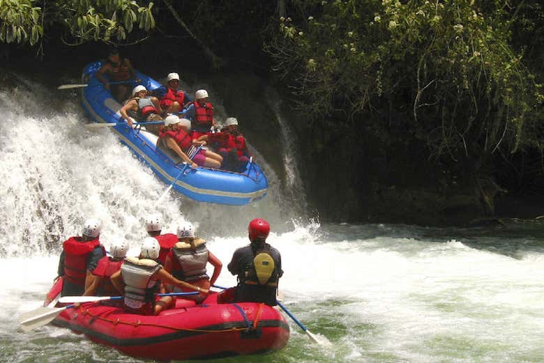 Imagen 5