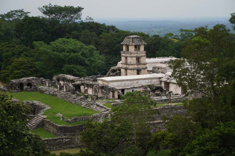 Imagen 3