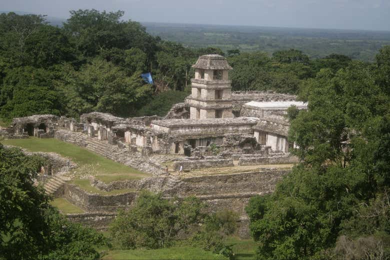 Imagen 5