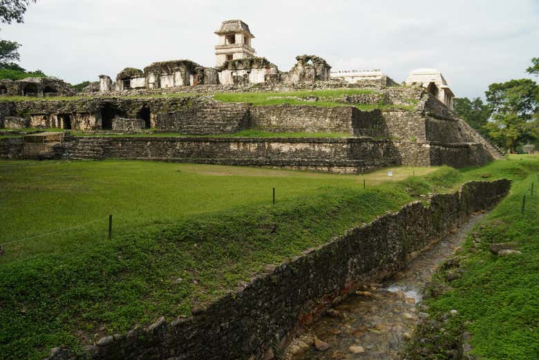 Imagen 2