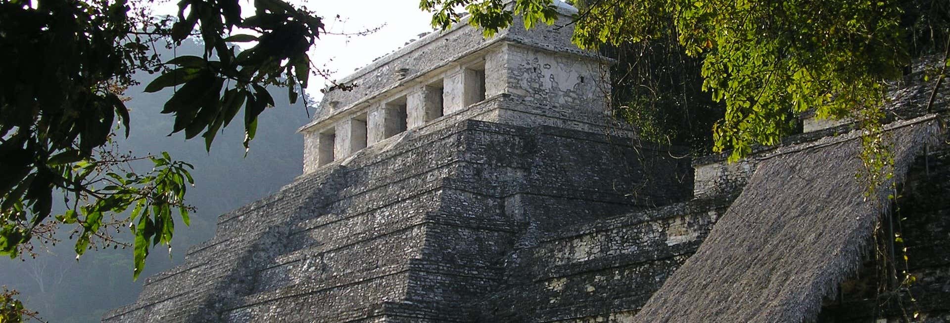 Tour privato del sito archeologico di Palenque