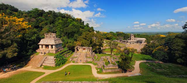 Biglietti per la zona archeologica di Palenque