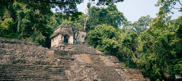 Visita guidata del sito archeologico di Palenque