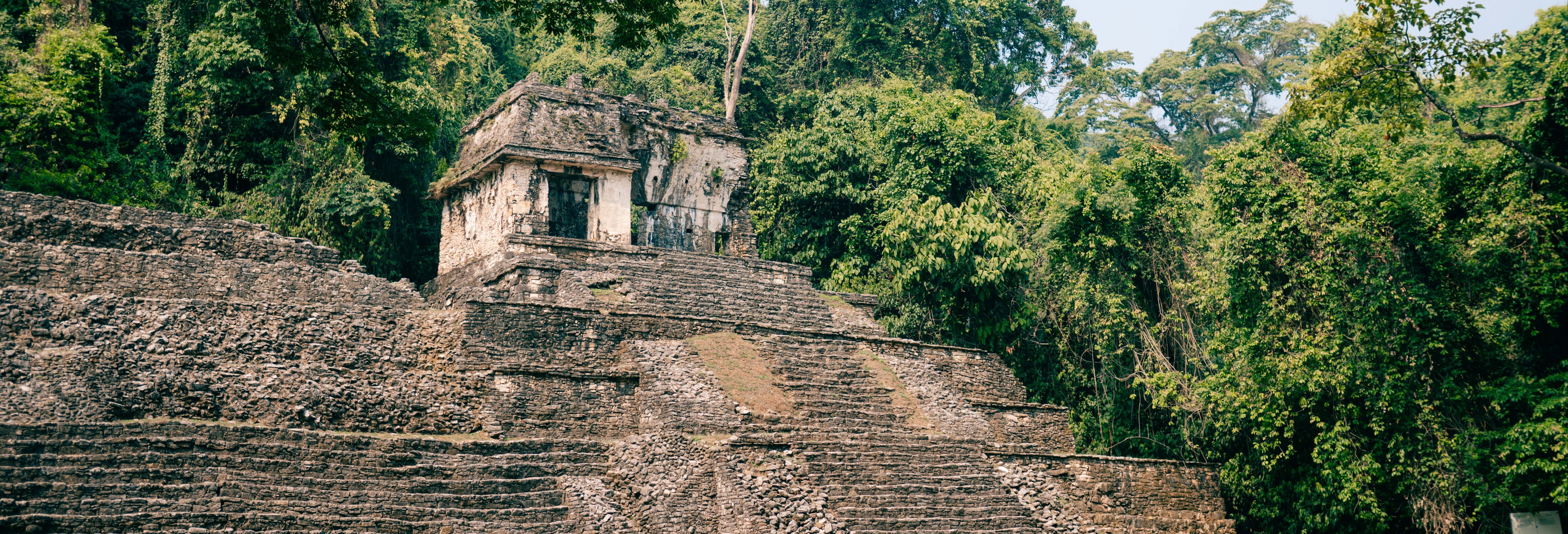 Visita guidata del sito archeologico di Palenque