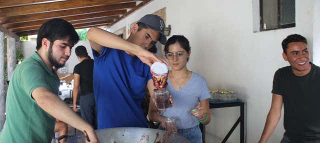 Laboratorio di dolci di Parras