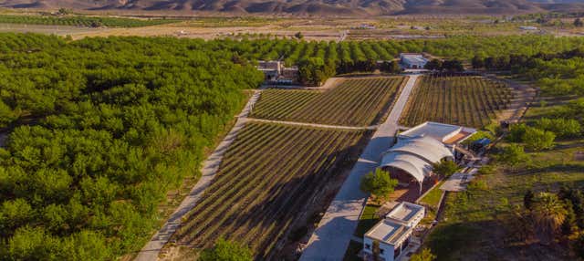 Tour privato dei vigneti e delle cantine