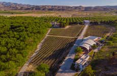 Tour privado por un viñedo de Parras de la Fuente