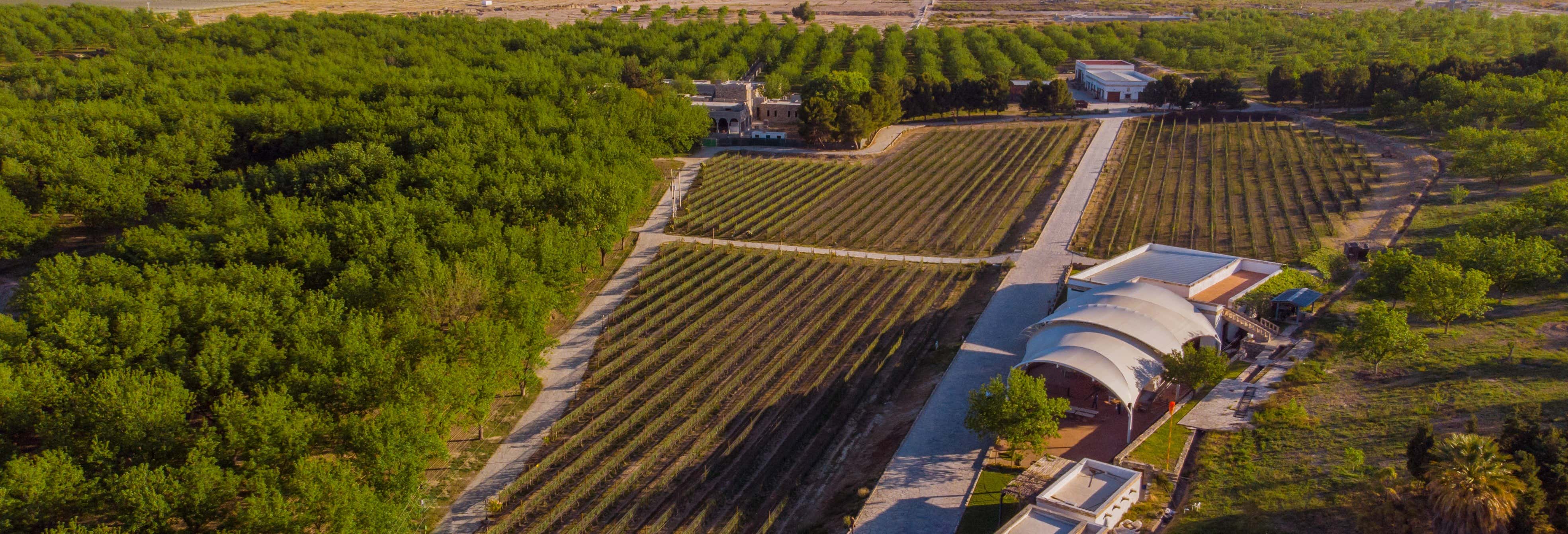 Parras de la Fuente Private Winery Tour