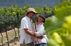 Tour del vino, la nuez y el sotol