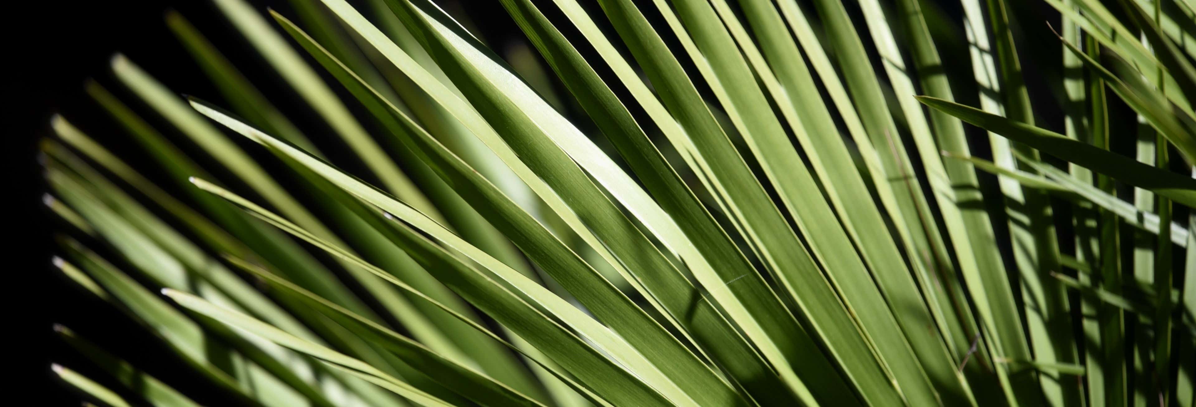 Tour del vino, della noce e del sotol