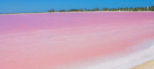 Escursione a Las Coloradas e al fiume Lagartos