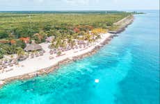 Cozumel Day Trip