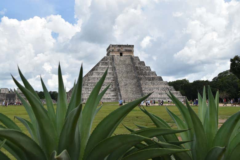 Imagen 4
