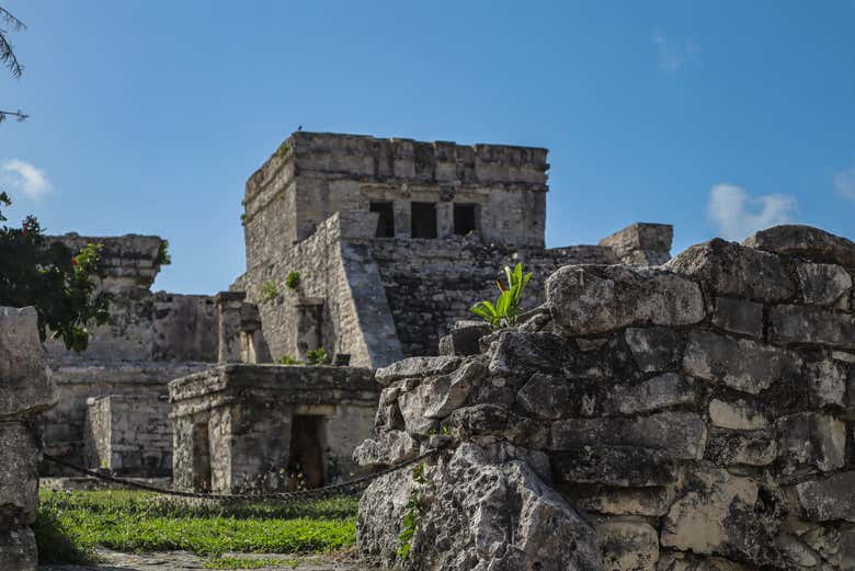 Excursión a Tulum y Akumal + Snorkel en cenote maya