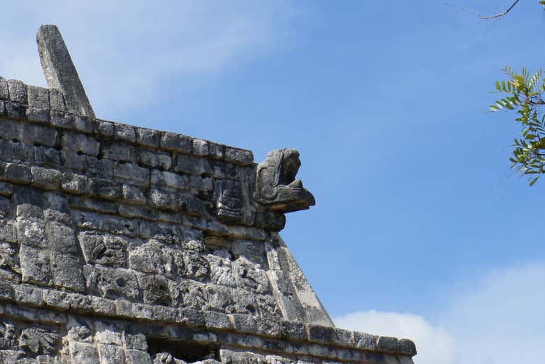 Imagen 5