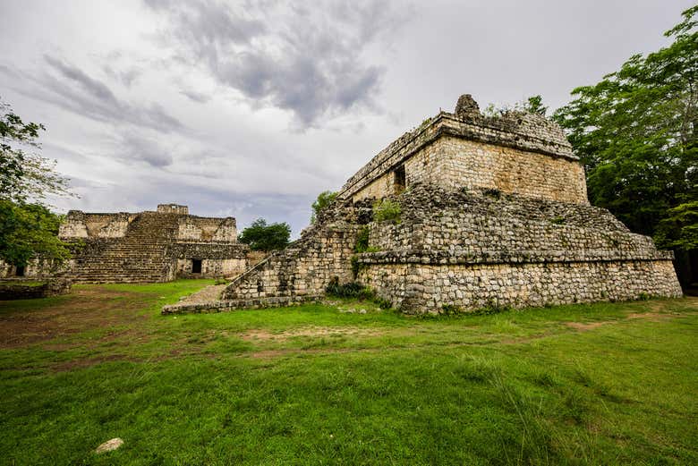 Imagen 6