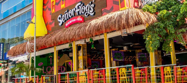 Señor Frog's Playa del Carmen