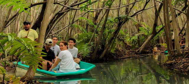 Escursione alla Laguna Rosada e al Manglar de San Crisanto