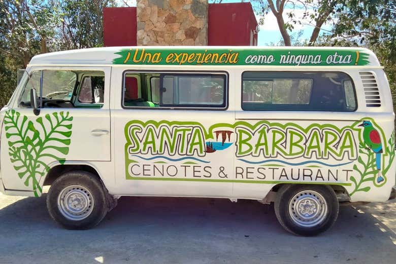 Imagen 5