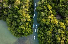 Paddle Surf in Progreso Mangroves+ Beach Club